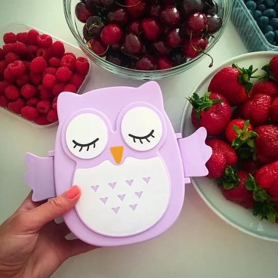Дитячий ланч бокс Bento Совушка Фіолетовий