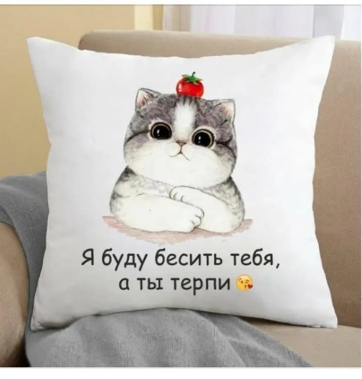Подушка Я буду дратувати тебе, а ти терпи 35x35 см - зображення 1